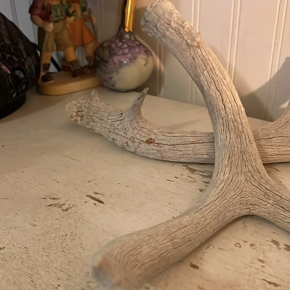 2 Rustic Gray deer Antler Decor